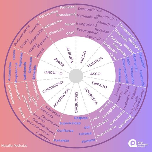 Rueda De Las Emociones Qu Es Y Ejercicios Pr Cticos