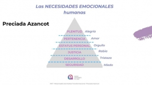necesidades emocionales humanas