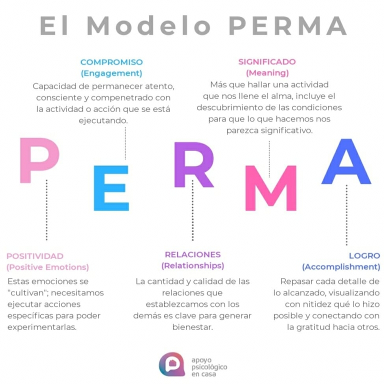 ¿Qué Es El Modelo Perma Para Ser Más Positivo Más Tiempo?